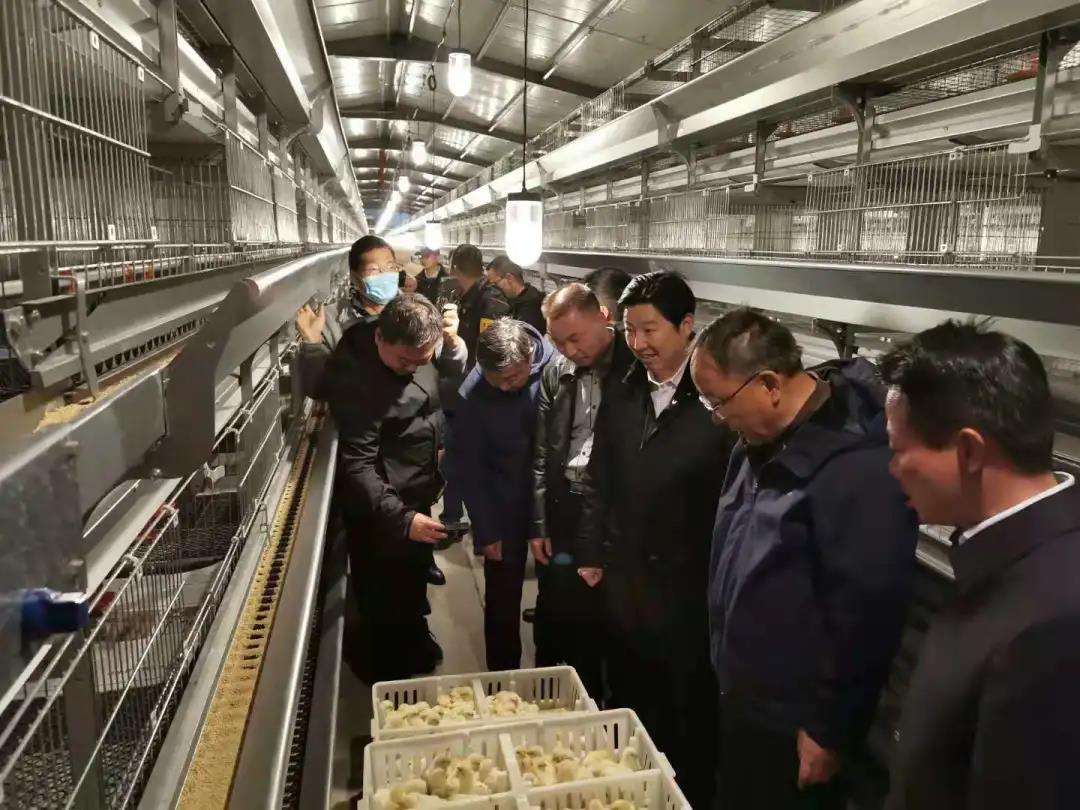 湖北产业援藏重点项目——西藏宏农一期投产