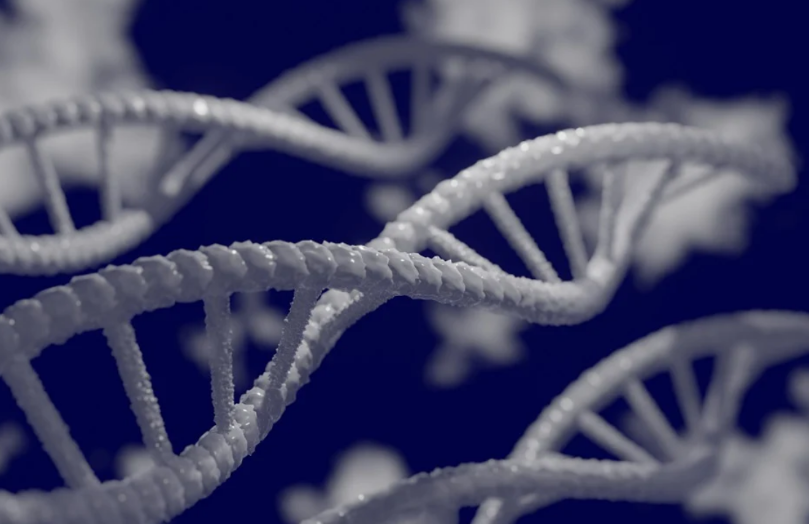 人类为什么会有遗传病 人类遗传病一定是因为致病基因引起的吗
