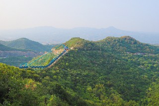 发现被子植物防止“多精受精”分子机制 我国植物生殖生物学取得重要突破