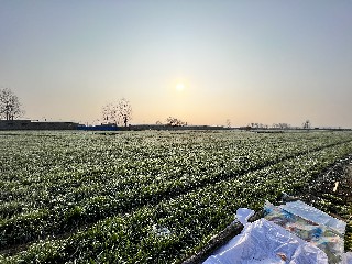 黑科技新农具走入现实 南京六合近3万亩麦田追肥用上无人机