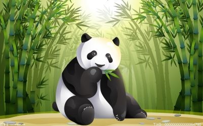 大熊猫是杂食还是素食动物？大熊猫是熊科还是猫科？